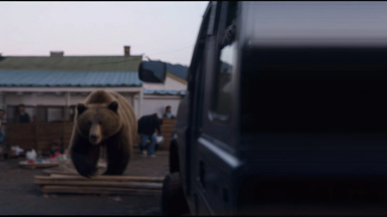 Медведь вторгся в зону обитания людей: причины и меры безопасности